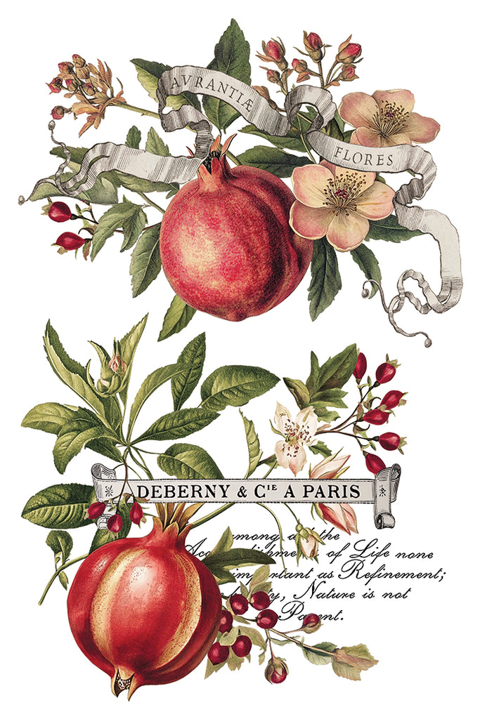 Clementine IOD Decor Transfer - DEJA VU BOUTIK