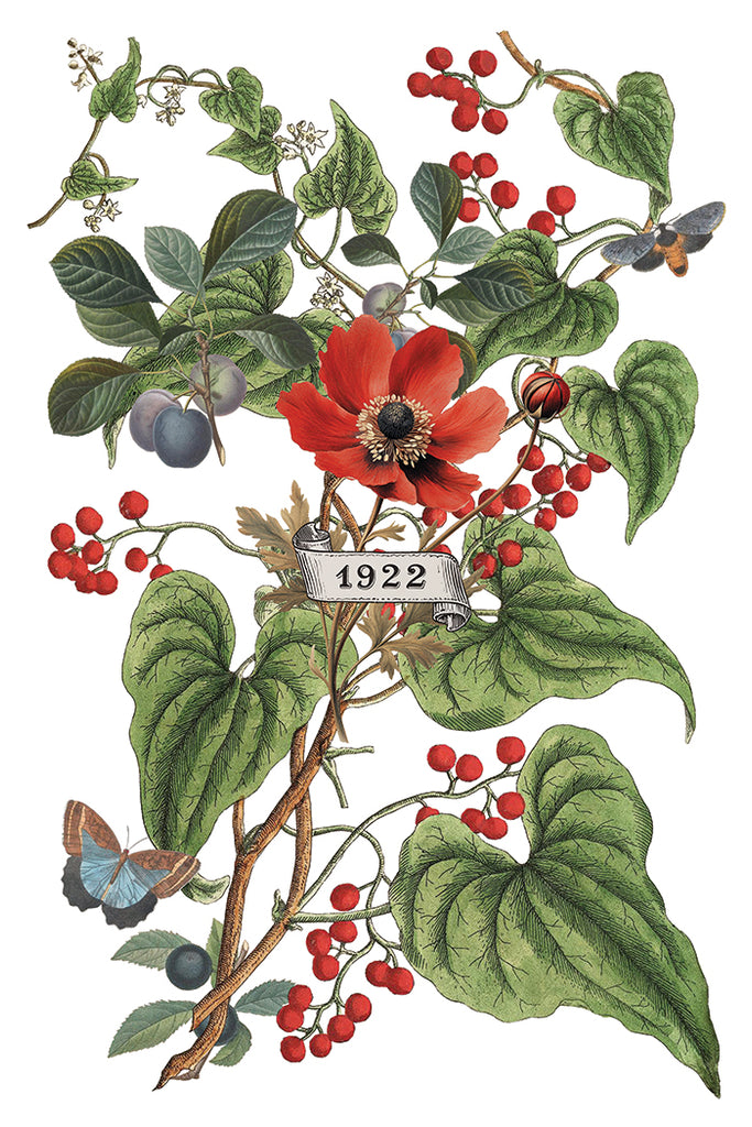 Clementine IOD Decor Transfer - DEJA VU BOUTIK