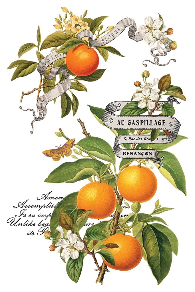 Clementine IOD Decor Transfer - DEJA VU BOUTIK