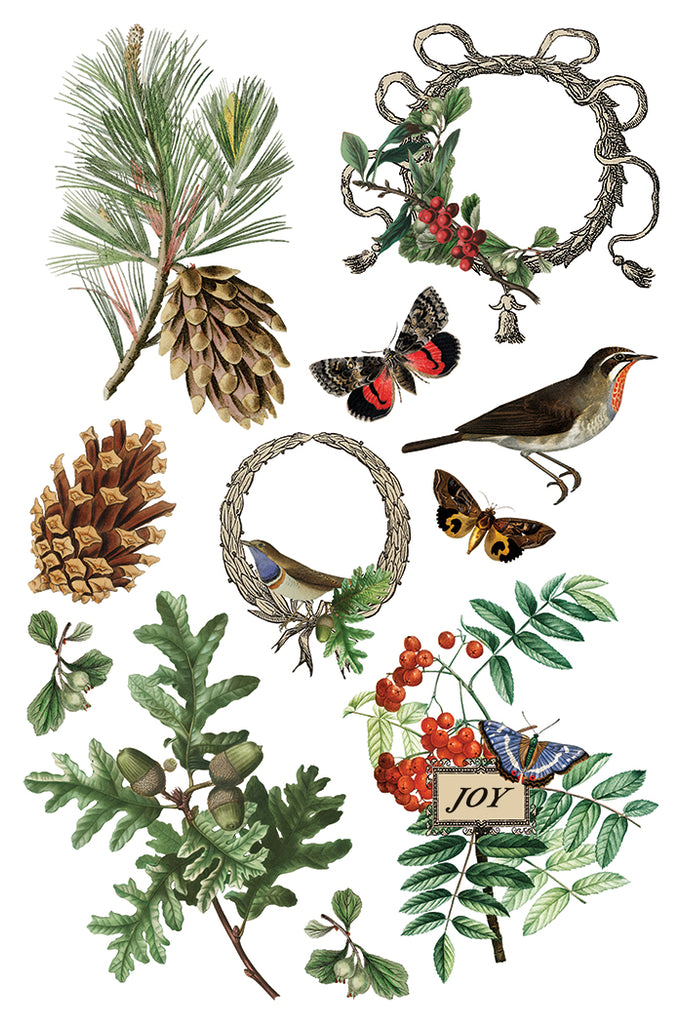 Winter Botonist IOD Decor Transfer - DEJA VU BOUTIK