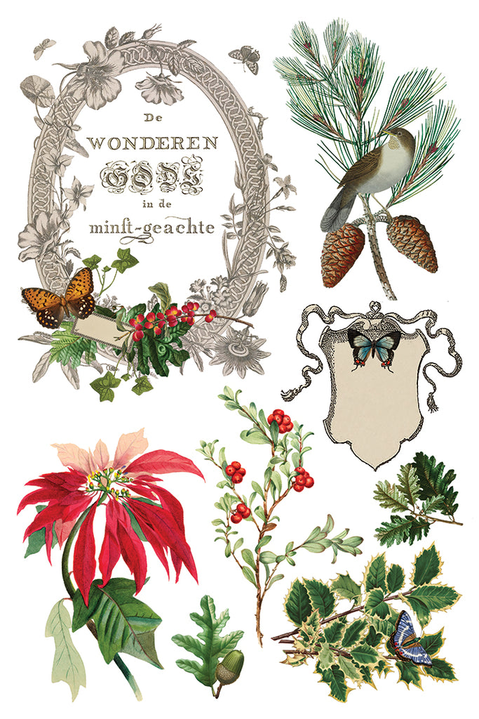 Winter Botonist IOD Decor Transfer - DEJA VU BOUTIK
