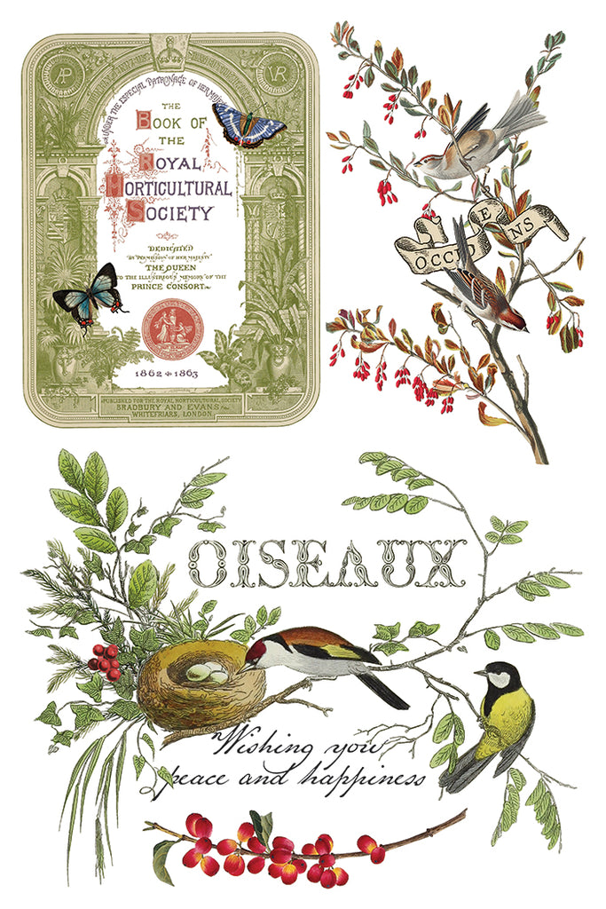 Winter Botonist IOD Decor Transfer - DEJA VU BOUTIK