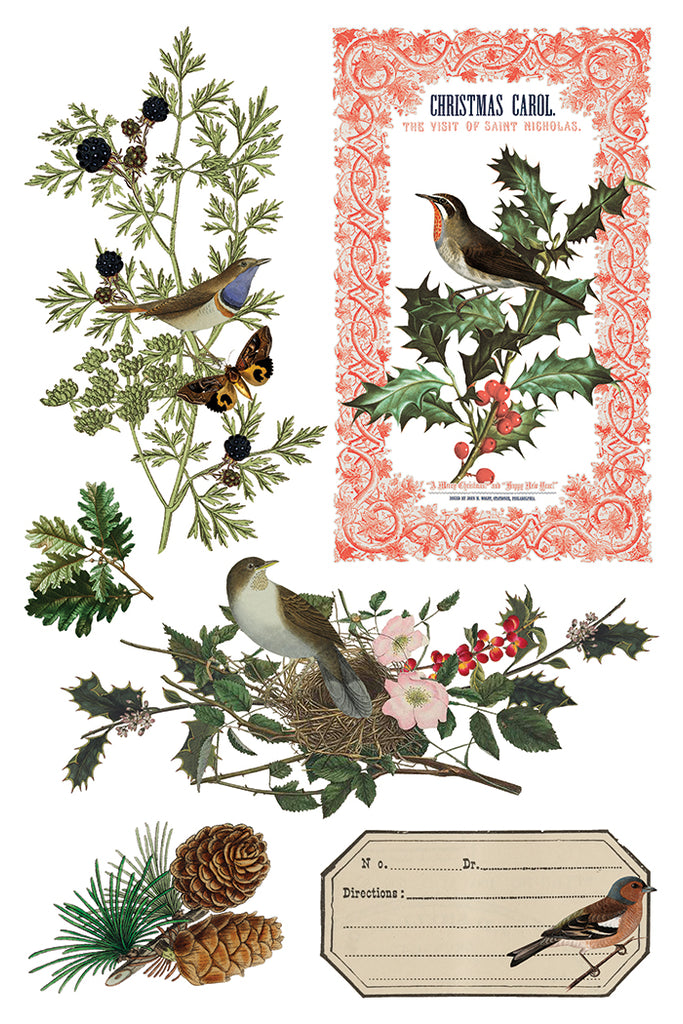 Winter Botonist IOD Decor Transfer - DEJA VU BOUTIK