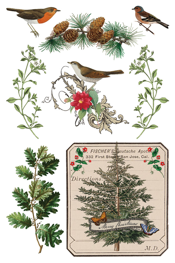 Winter Botonist IOD Decor Transfer - DEJA VU BOUTIK