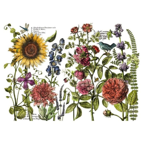 Botanist’s Journal IOD Decor Transfer - DEJA VU BOUTIK