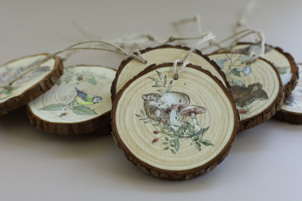 The Bramblewood Diaries IOD Decor Transfer