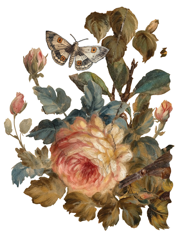 Joie de roses IOD Decor Transfer - DEJA VU BOUTIK