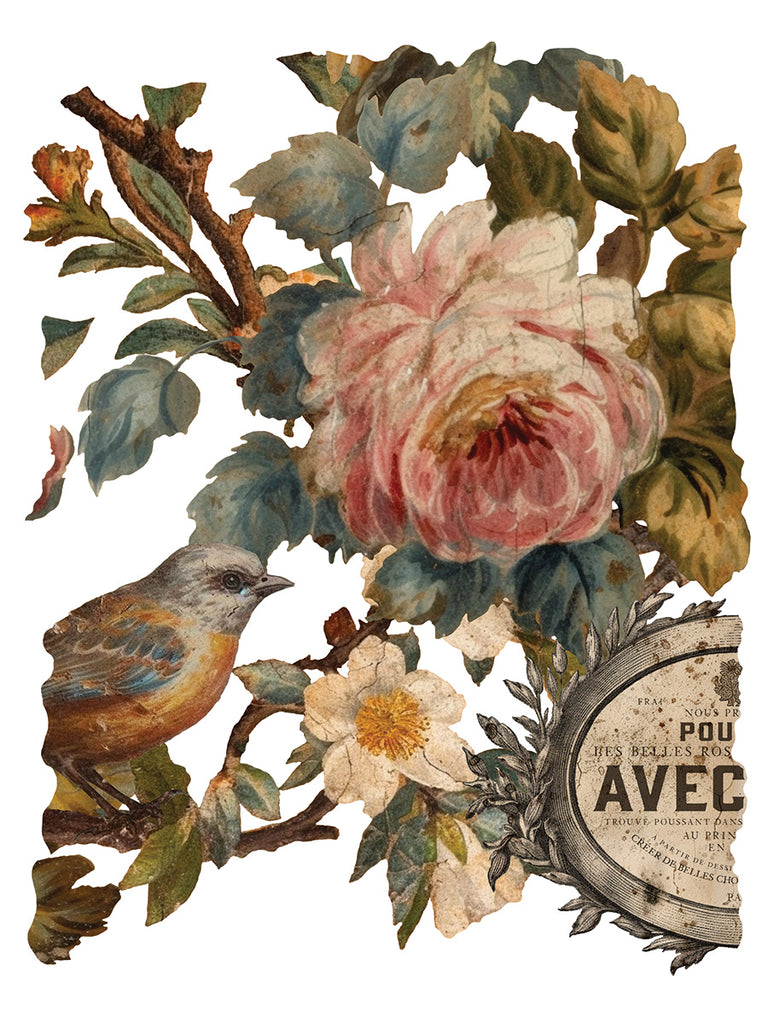 Joie de roses IOD Decor Transfer - DEJA VU BOUTIK