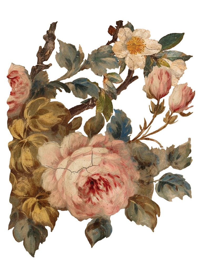 Joie de roses IOD Decor Transfer - DEJA VU BOUTIK