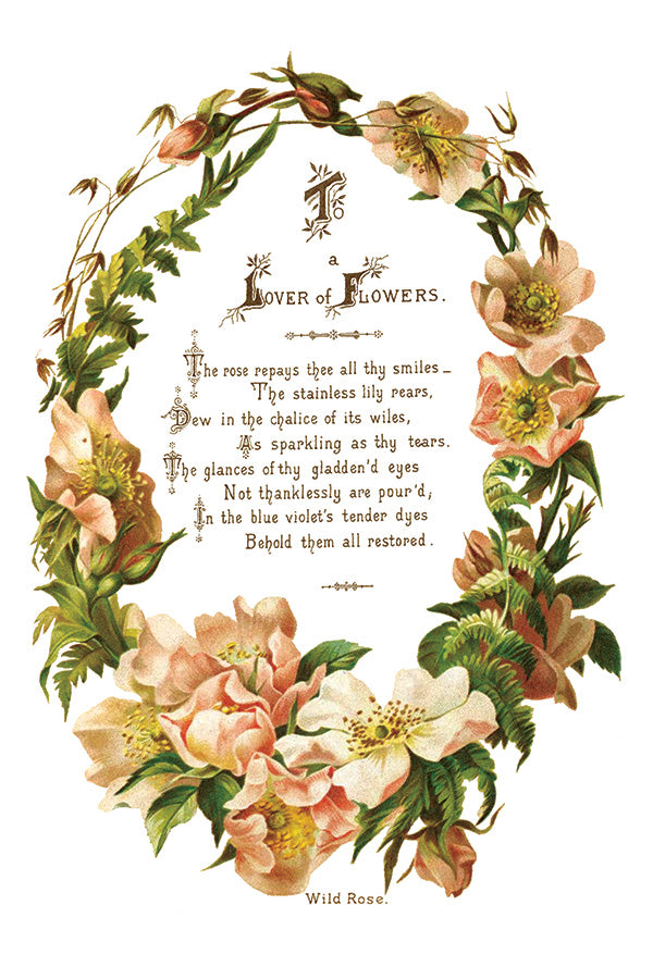 Lover of Flowers IOD Decor Transfer - DEJA VU BOUTIK