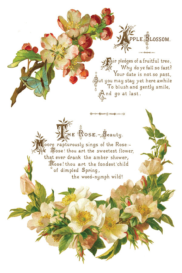 Lover of Flowers IOD Decor Transfer - DEJA VU BOUTIK