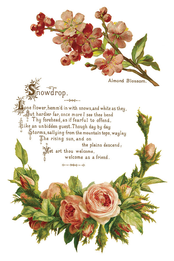 Lover of Flowers IOD Decor Transfer - DEJA VU BOUTIK
