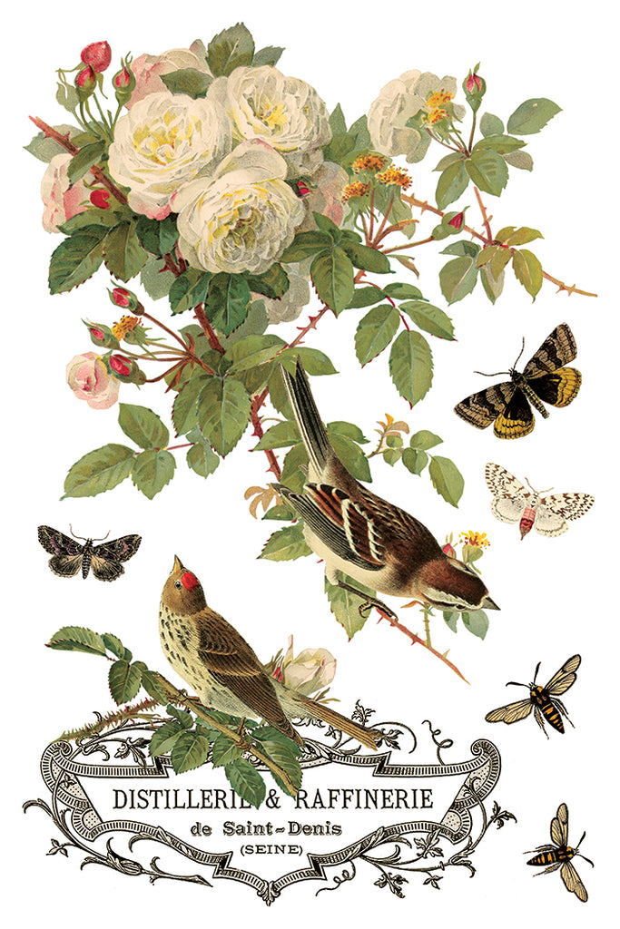 By Any Other Name IOD Decor Transfer - DEJA VU BOUTIK