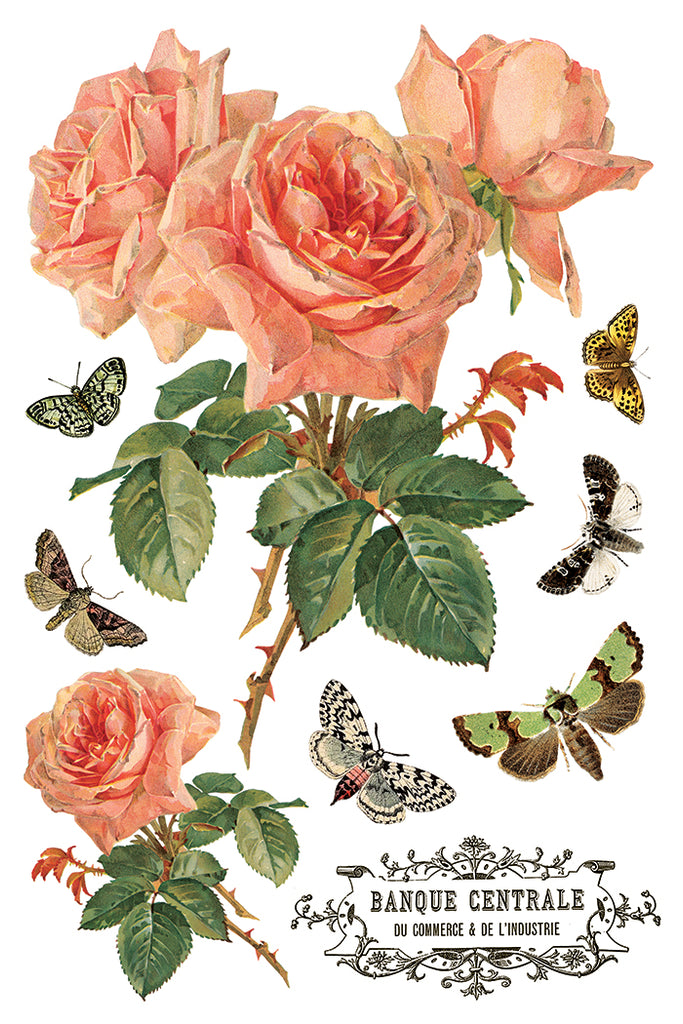 By Any Other Name IOD Decor Transfer - DEJA VU BOUTIK