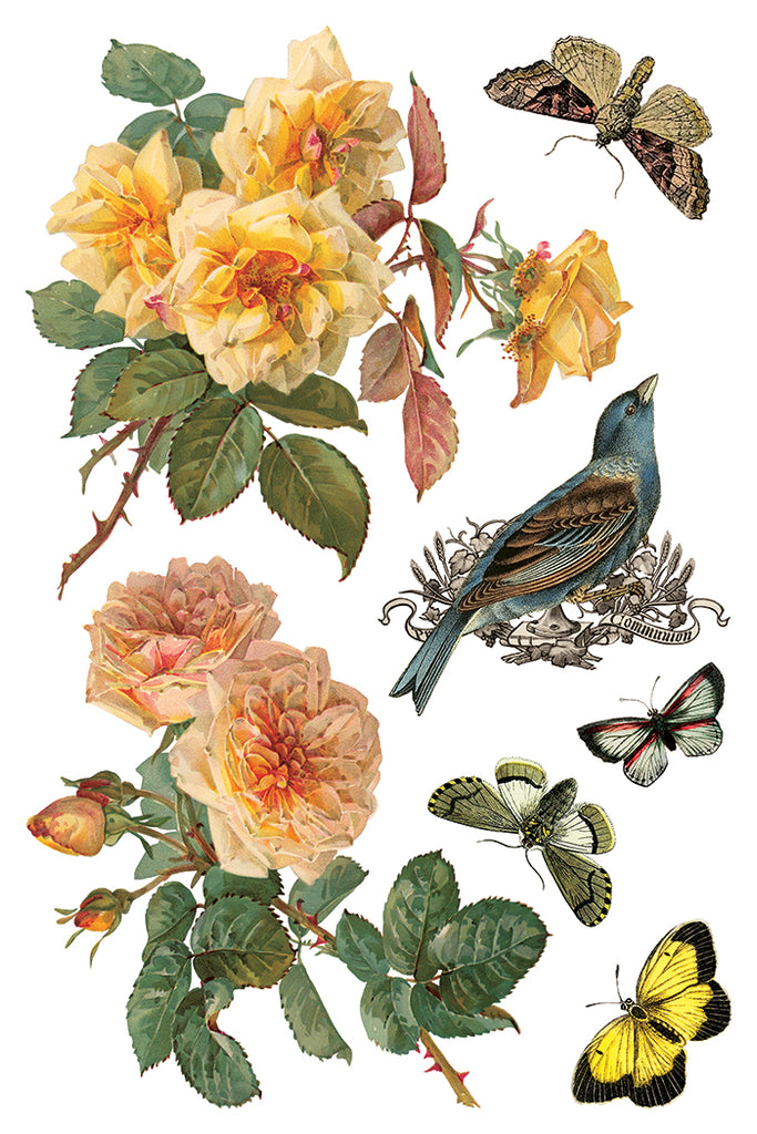 By Any Other Name IOD Decor Transfer - DEJA VU BOUTIK