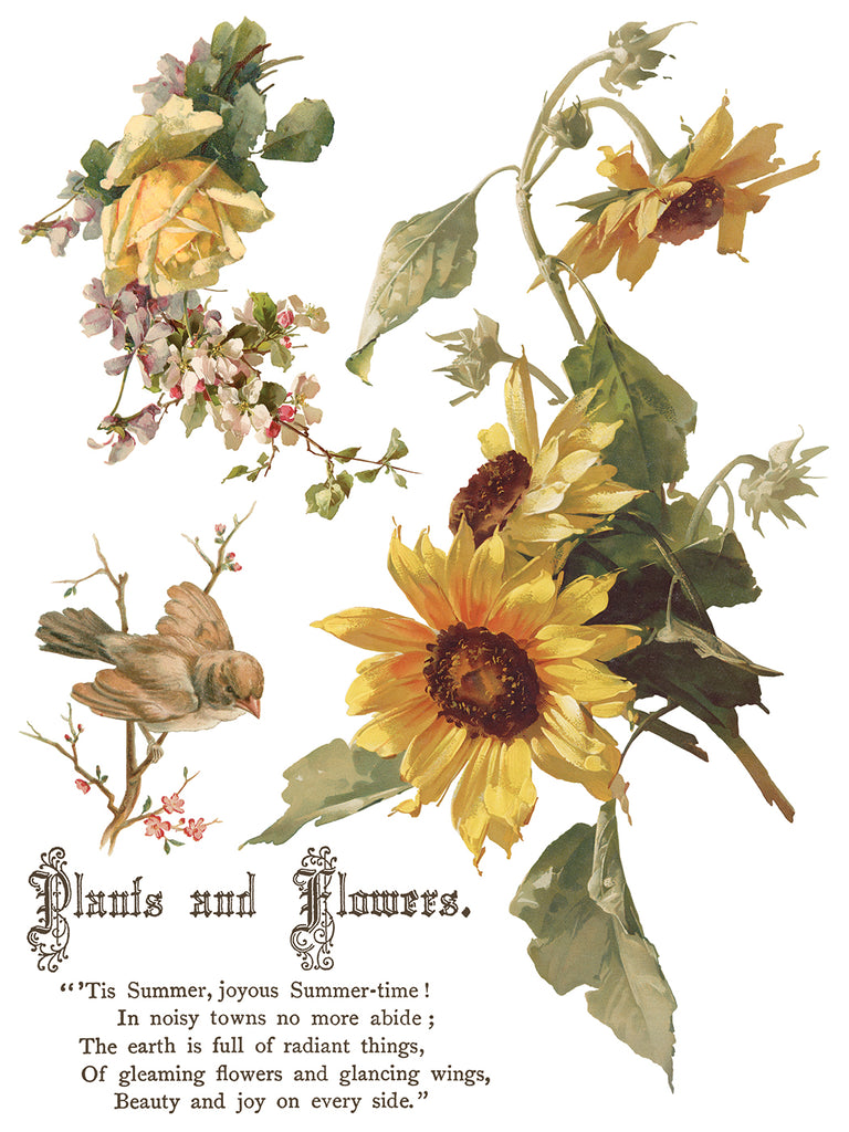 Flowers by the Poets IOD Decor Transfer - DEJA VU BOUTIK
