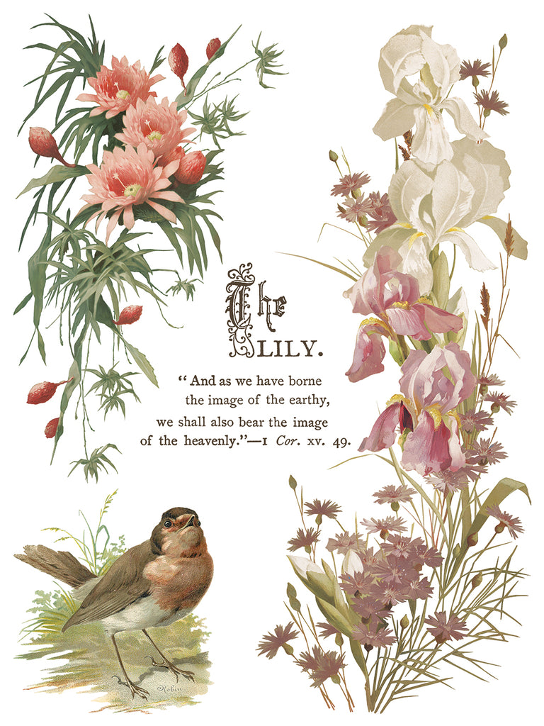 Flowers by the Poets IOD Decor Transfer - DEJA VU BOUTIK