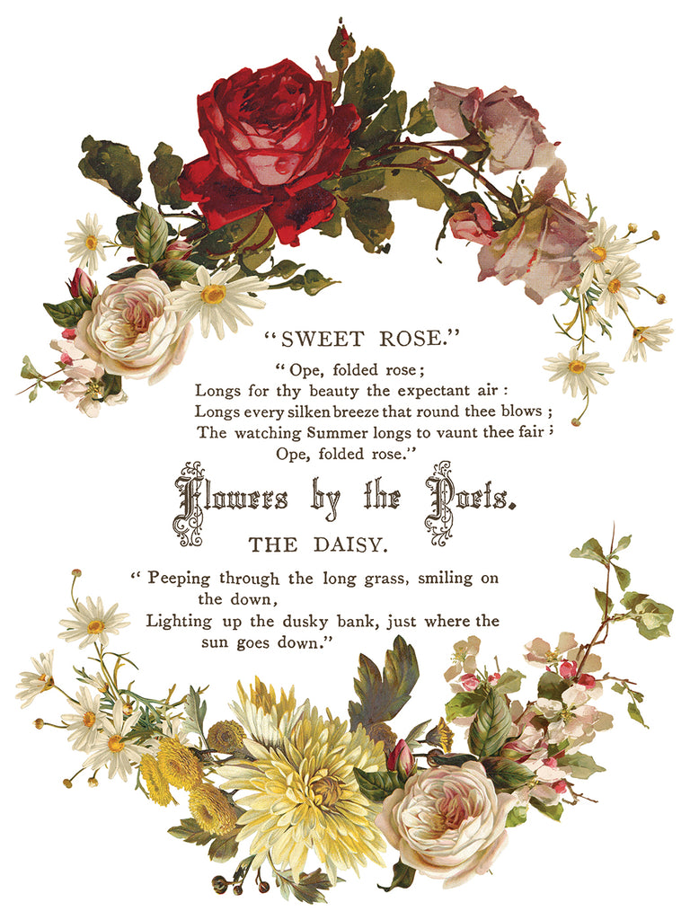 Flowers by the Poets IOD Decor Transfer - DEJA VU BOUTIK
