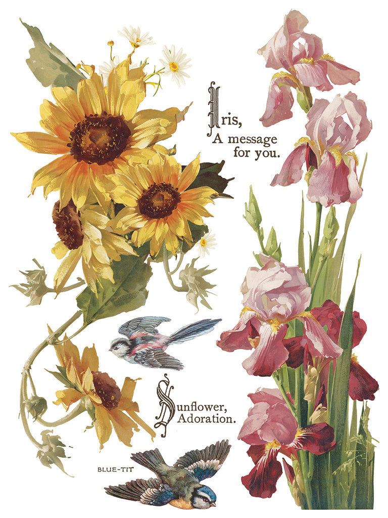 Flowers by the Poets IOD Decor Transfer - DEJA VU BOUTIK