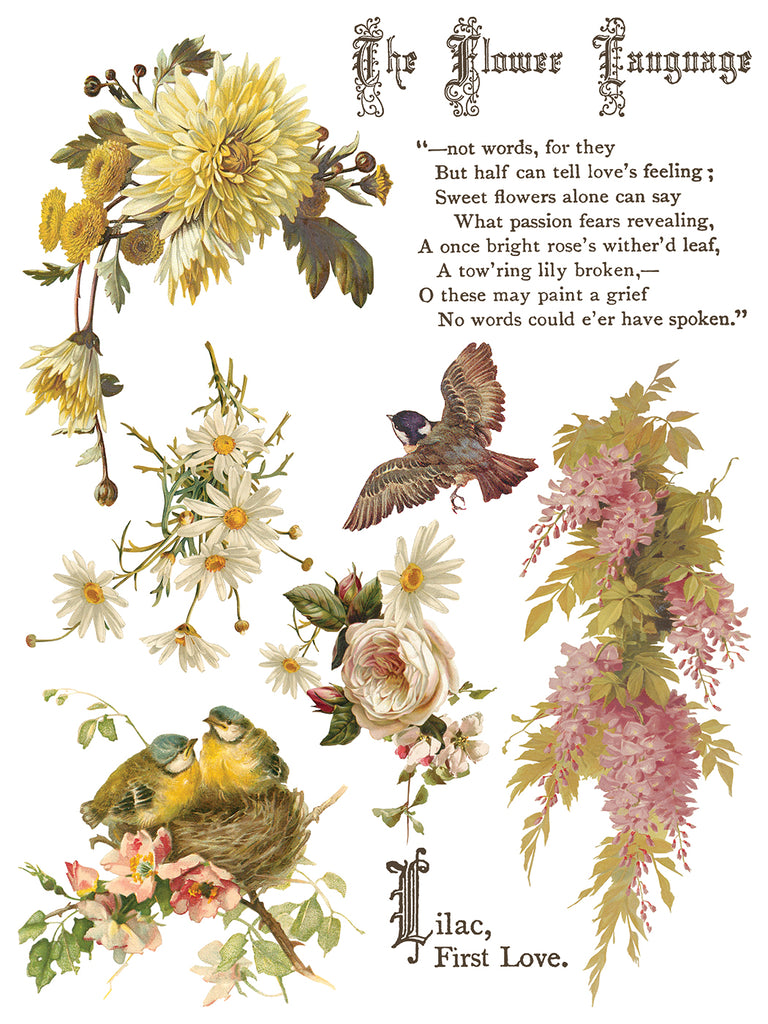 Flowers by the Poets IOD Decor Transfer - DEJA VU BOUTIK