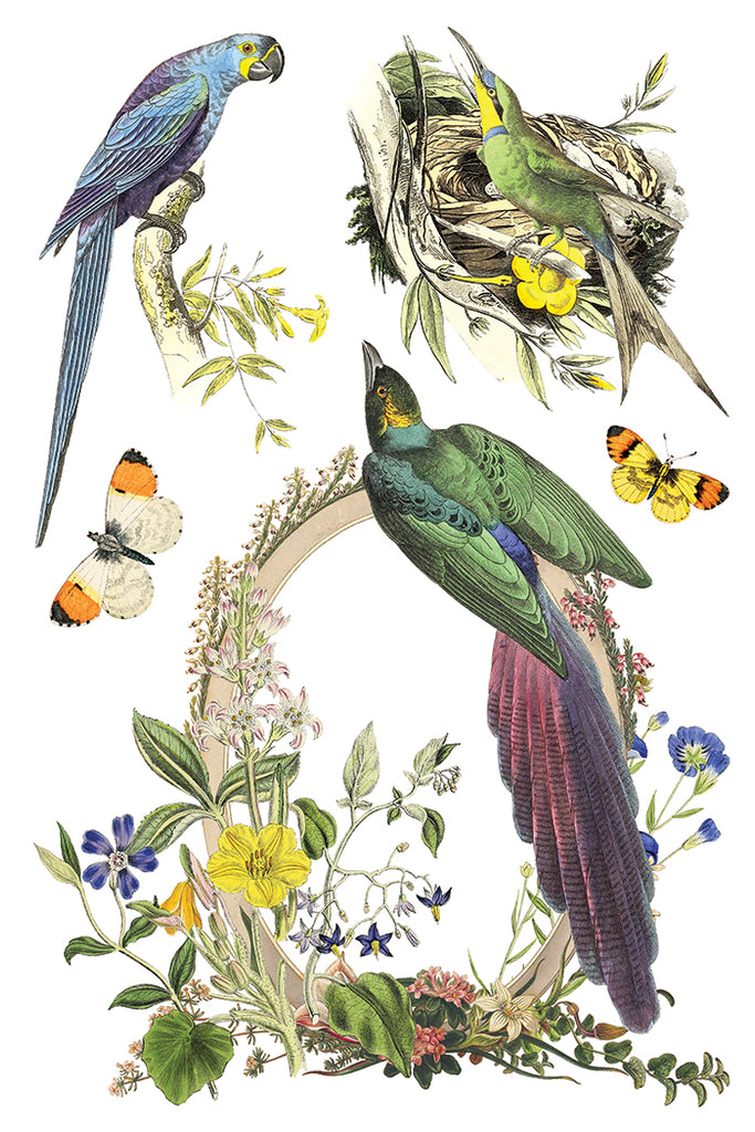 Flora Greca IOD Decor Transfer - DEJA VU BOUTIK