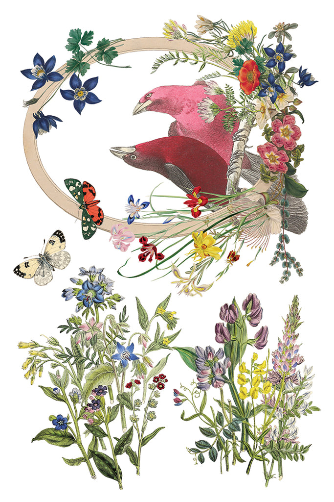 Flora Greca IOD Decor Transfer - DEJA VU BOUTIK