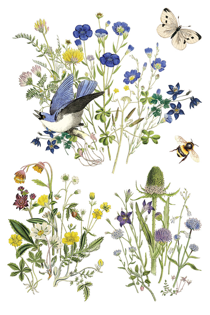 Flora Greca IOD Decor Transfer - DEJA VU BOUTIK