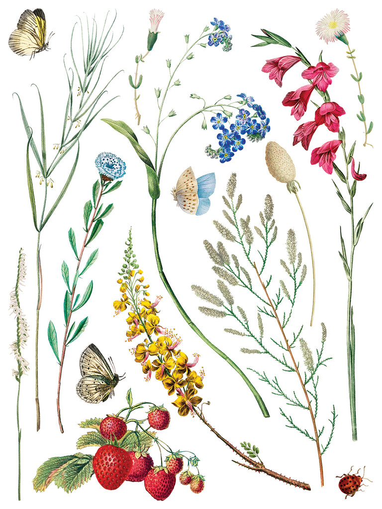 Marche des Fleurs IOD Decor Transfer - DEJA VU BOUTIK