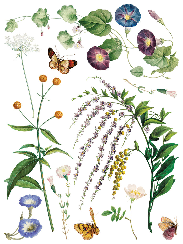 Marche des Fleurs IOD Decor Transfer - DEJA VU BOUTIK