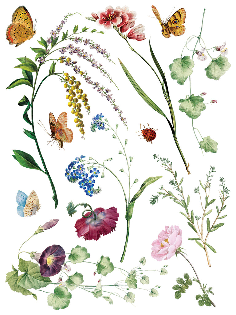 Marche des Fleurs IOD Decor Transfer - DEJA VU BOUTIK
