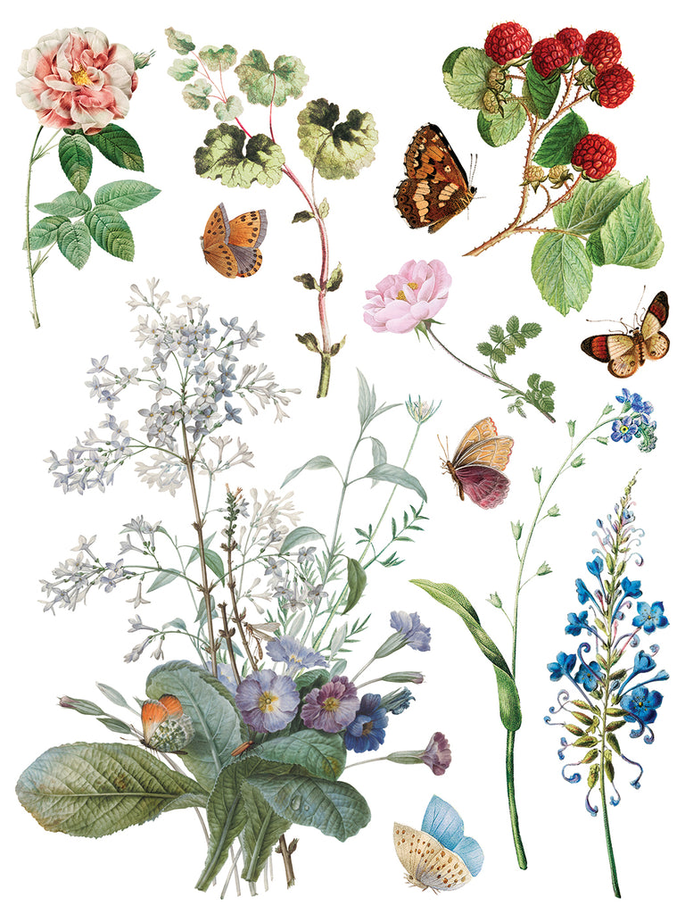 Marche des Fleurs IOD Decor Transfer - DEJA VU BOUTIK
