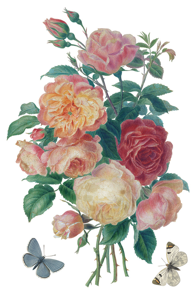 Saint Ouen IOD Decor Transfer - DEJA VU BOUTIK