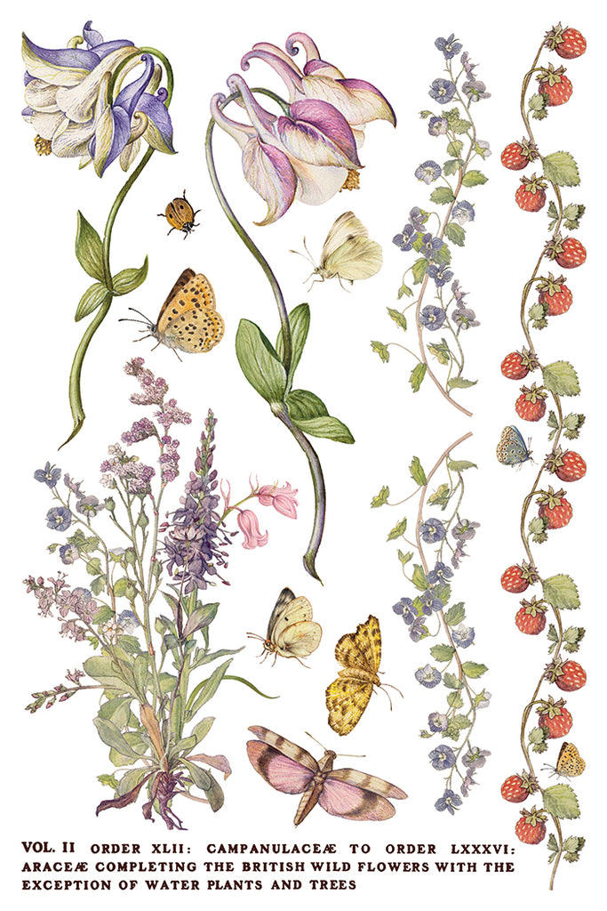 Primrose Isle IOD Decor Transfer - DEJA VU BOUTIK