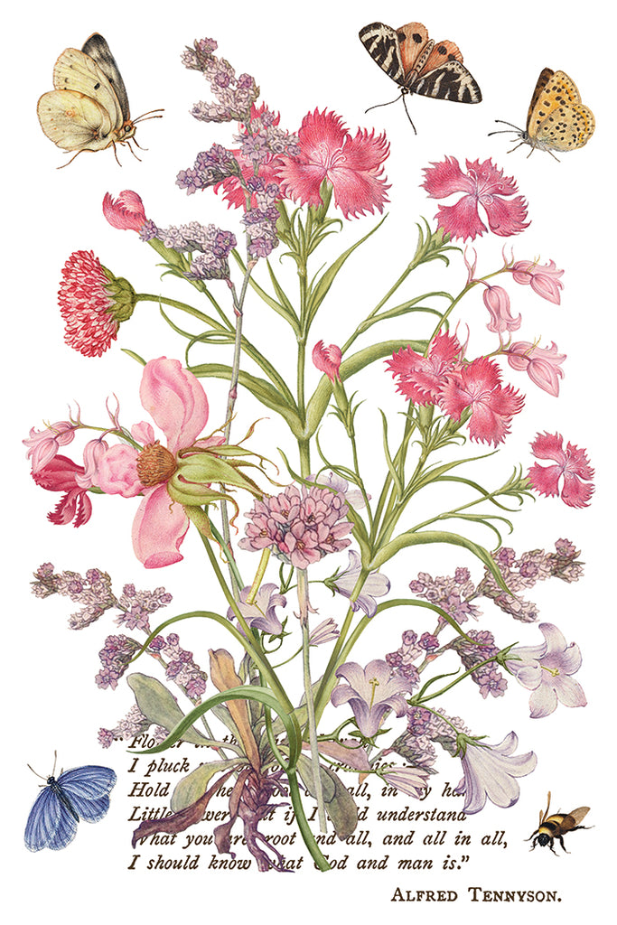 Primrose Isle IOD Decor Transfer - DEJA VU BOUTIK