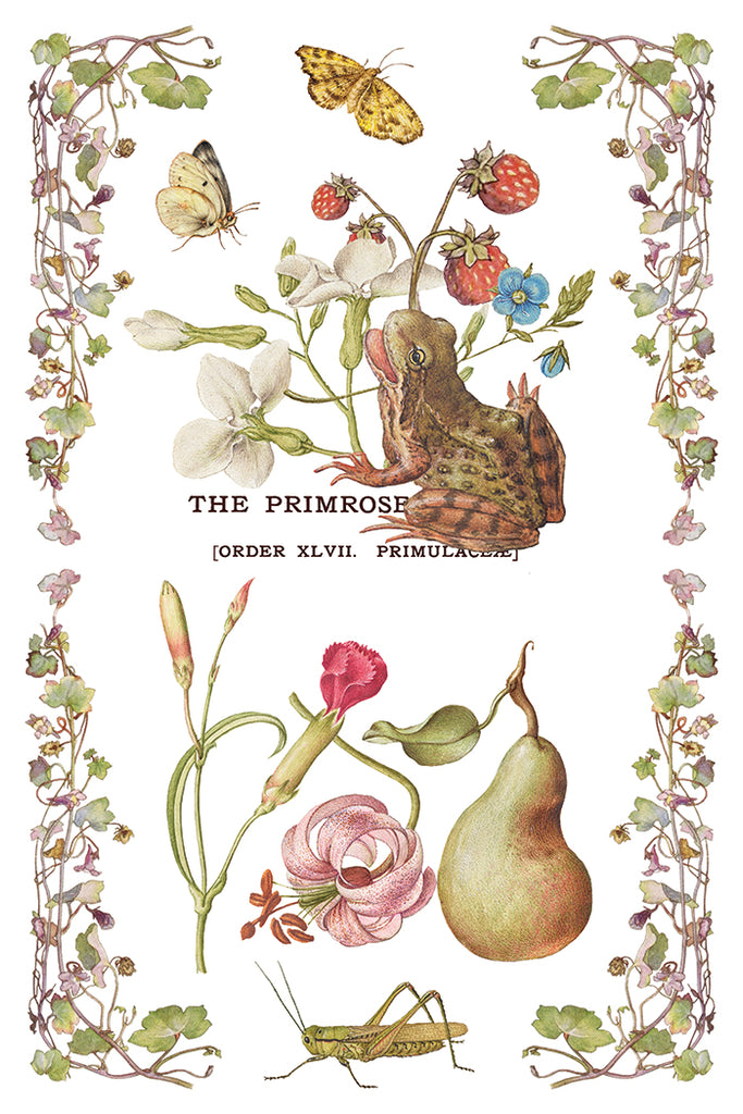 Primrose Isle IOD Decor Transfer - DEJA VU BOUTIK