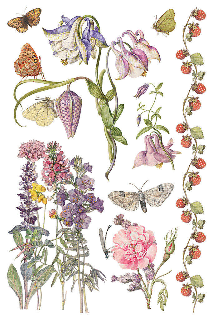 Primrose Isle IOD Decor Transfer - DEJA VU BOUTIK