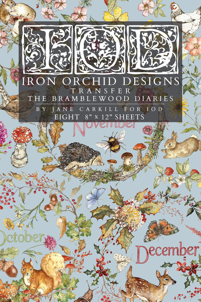 The Bramblewood Diaries IOD Decor Transfer