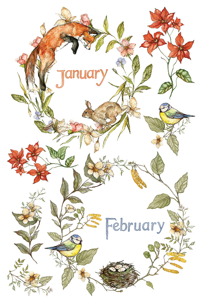 The Bramblewood Diaries IOD Decor Transfer