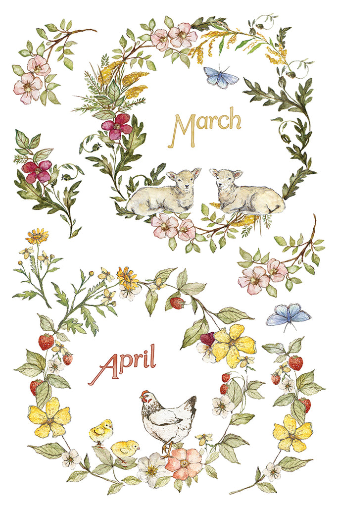 The Bramblewood Diaries IOD Decor Transfer