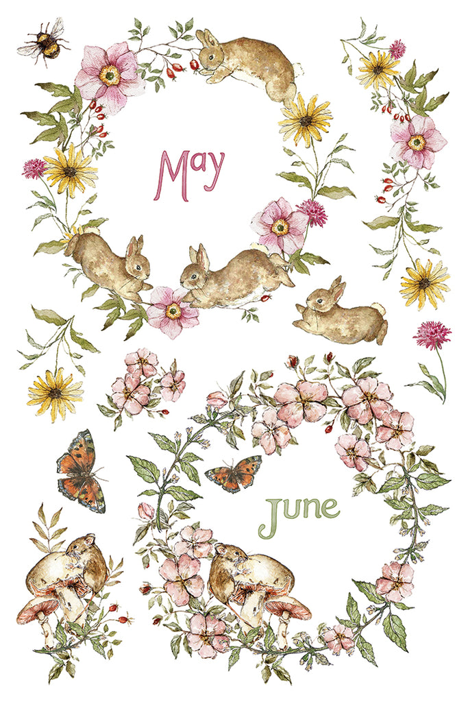 The Bramblewood Diaries IOD Decor Transfer