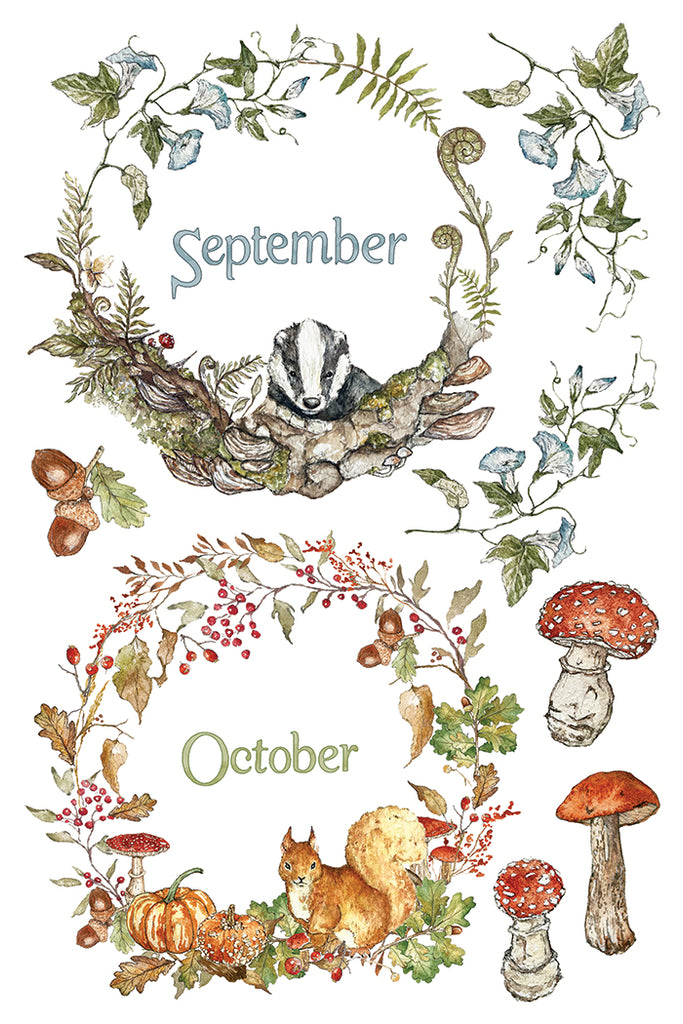 The Bramblewood Diaries IOD Decor Transfer