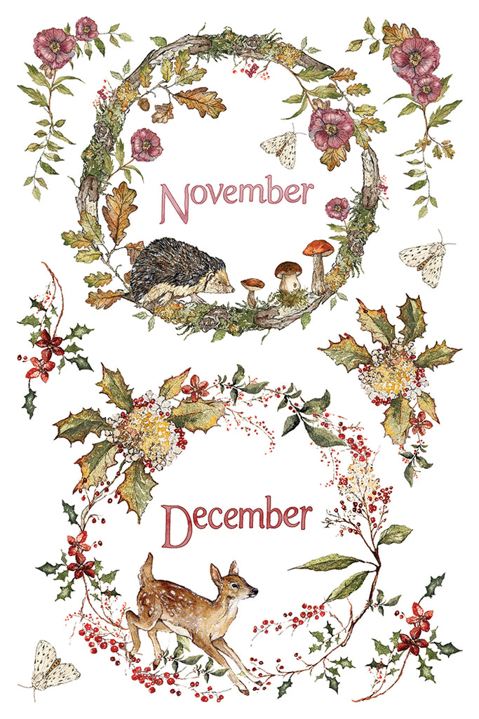 The Bramblewood Diaries IOD Decor Transfer