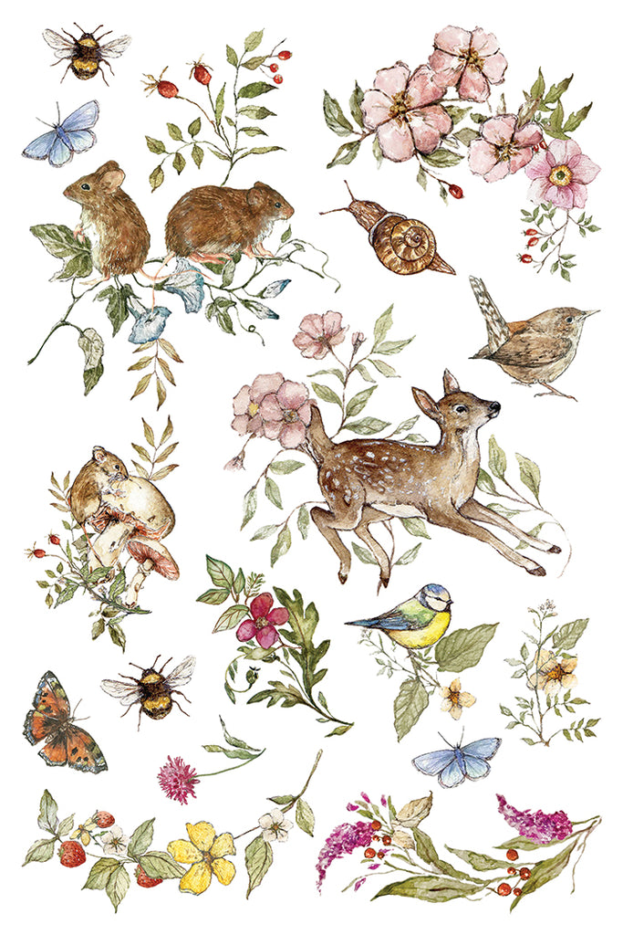 The Bramblewood Diaries IOD Decor Transfer