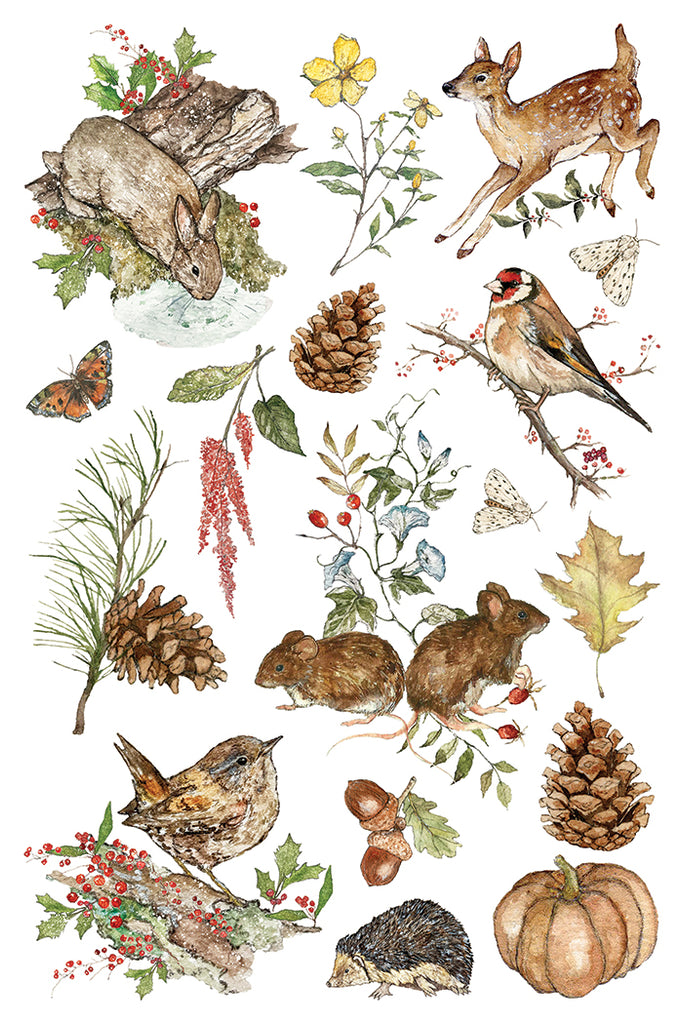 The Bramblewood Diaries IOD Decor Transfer