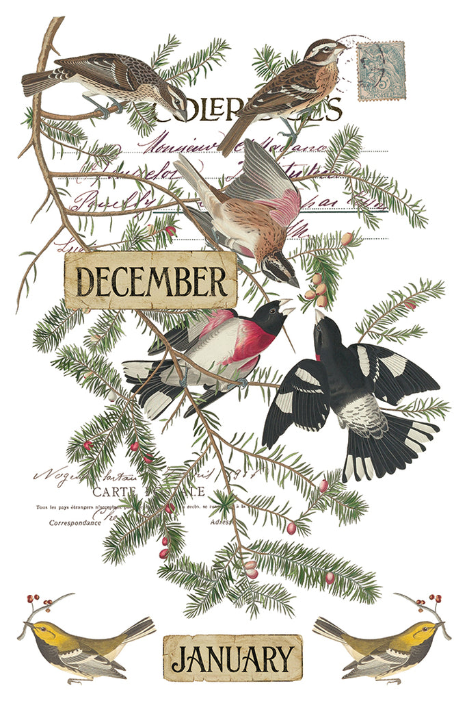Winter's Calling IOD Decor Transfer